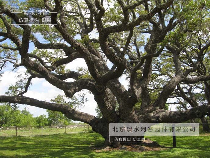 仿真樹為新農(nóng)村建設(shè)出一份力-北京淡水河谷仿真樹