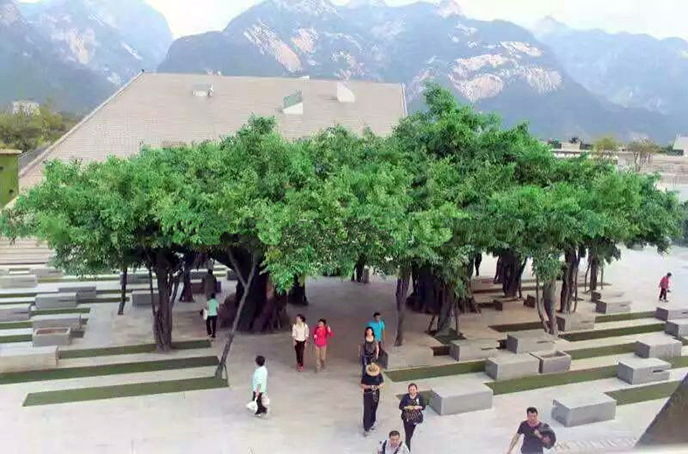 仿真榕樹(shù)制作沒(méi)有大只有大-仿真榕樹(shù)圖片