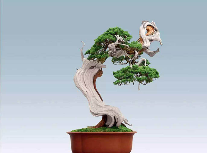 仿真柏樹(shù)種類(lèi)有很多不知你喜歡哪一種？