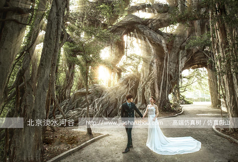 蒙娜麗莎室內(nèi)綠色風(fēng)情婚紗攝影仿真樹設(shè)計(jì)-北京圣園工程