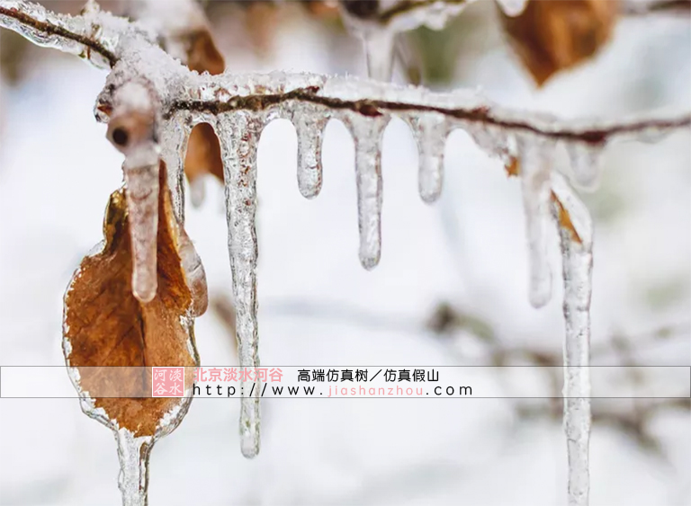 處理冰雪災(zāi)害天氣下的仿真樹(shù)景觀的6個(gè)技巧
