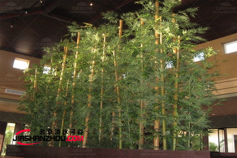仿真樹(shù)不是隨便陳設(shè)的它合適布置在什么地方