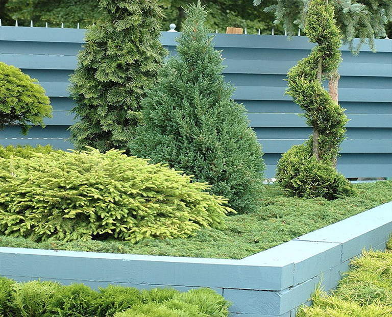 創(chuàng)意圍欄設(shè)計(jì)將為您的植物花園帶來隱私和結(jié)構(gòu)（下）