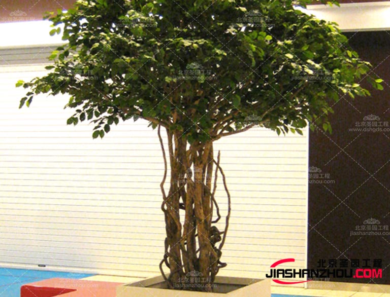 現(xiàn)在需要仿真樹是如此的讓城市煥發(fā)出生機(jī)適用于多樣化場(chǎng)景