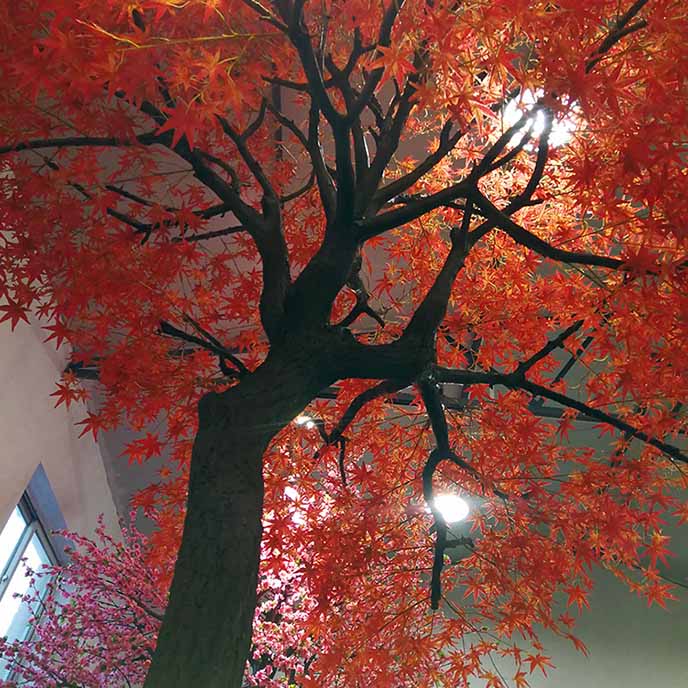 仿真紅楓樹(shù)