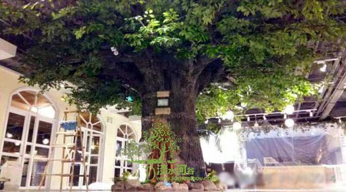 仿真樹.jpg 仿真樹