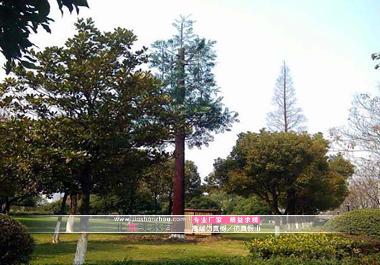 信號(hào)塔樹