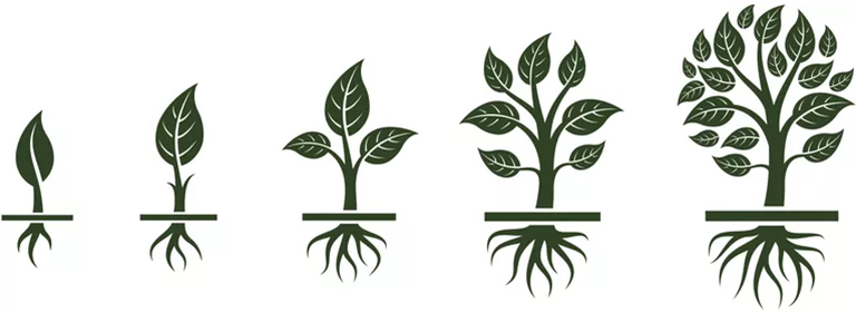 樹形結(jié)構