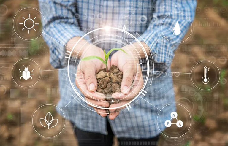 生物因素與非生物因素.jpg 生物因素與非生物因素