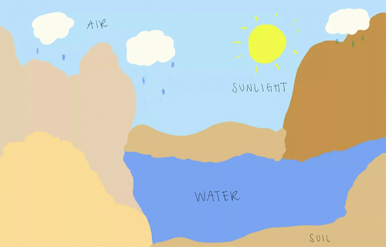 生物因素與非生物因素.jpg 生物因素與非生物因素