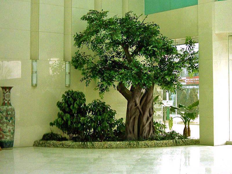 仿真樹(shù)工程