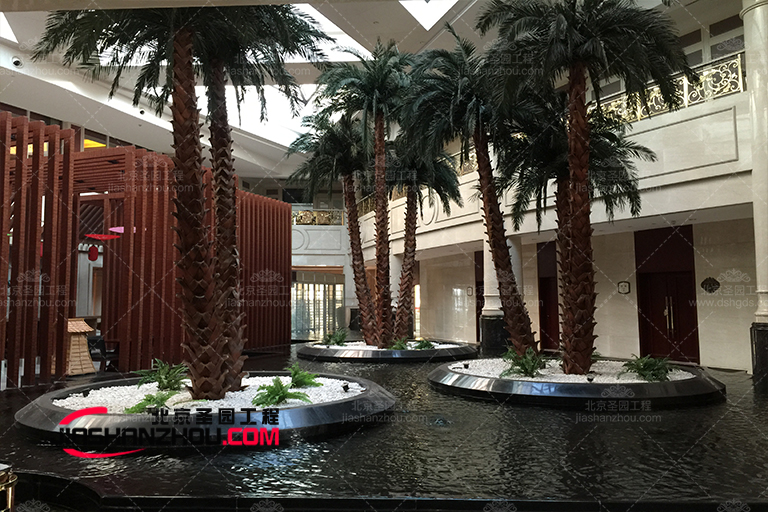 海藻樹(shù).jpg 海藻樹(shù)