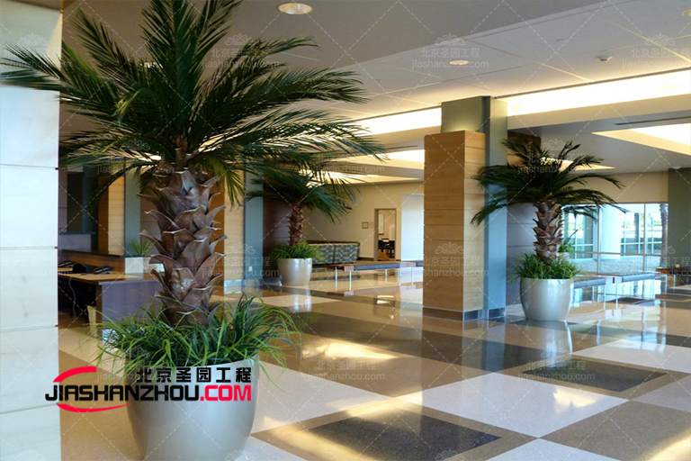 海藻樹(shù).jpg 海藻樹(shù)